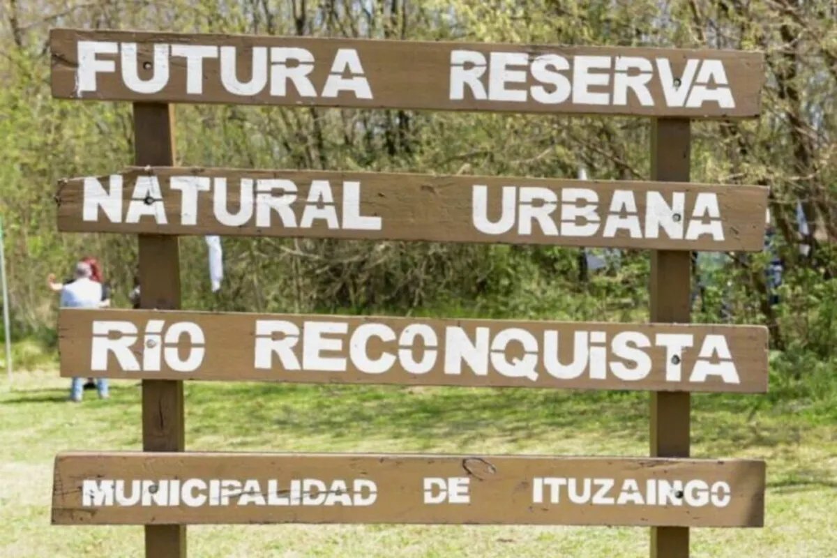 Preocupaci&oacute;n por la tala de &aacute;rboles en la Reserva Natural de Ituzaing&oacute;