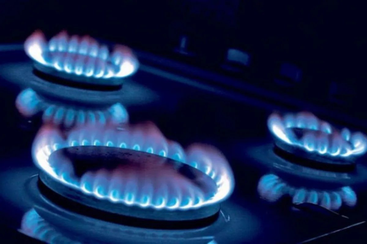 Recomendaciones para evitar la inhalaci&oacute;n de mon&oacute;xido de carbono durante el invierno