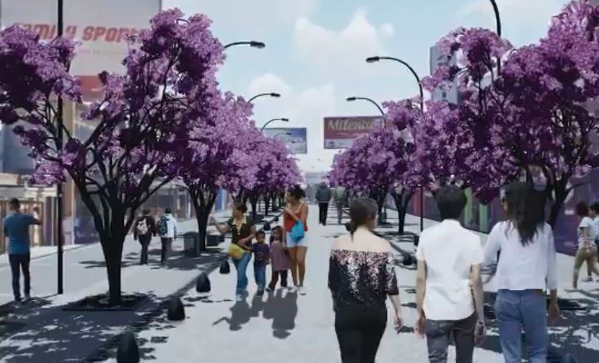 Asi ser&aacute; la renovaci&oacute;n de la Avenida Luro en Laferrere