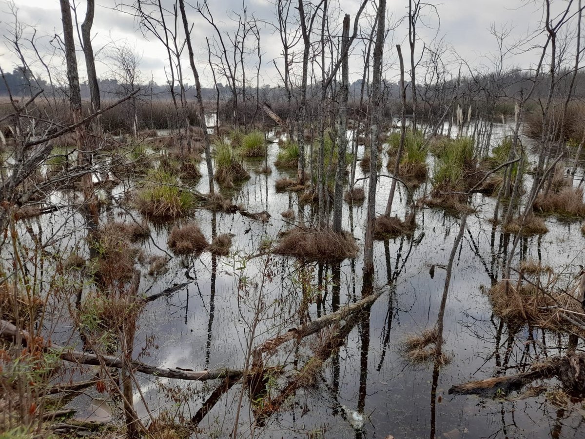 La Reserva Natural de Ciudad Evita tiene una importancia estrat&eacute;gica por su zona de humedales