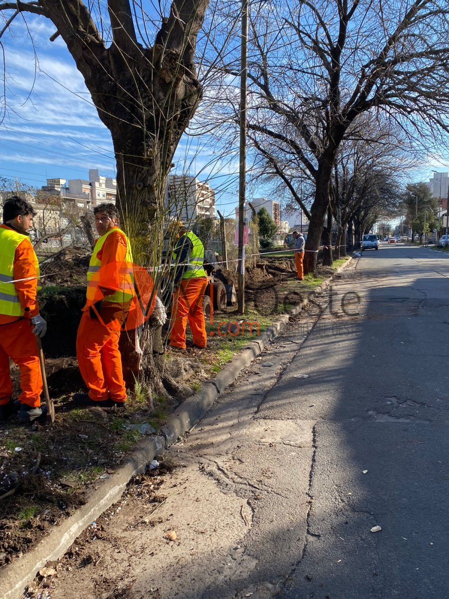 Las obras a metros de la estaci&oacute;n Haedo del Tren Sarmiento