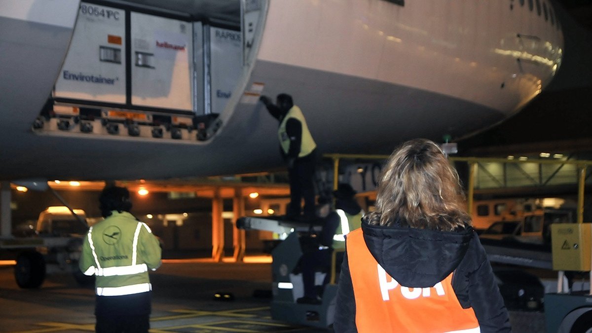 Un vuelo con 1.448.000 de vacunas Sinopharm contra el coronavirus arrib&oacute; esta madrugada al pa&iacute;s.