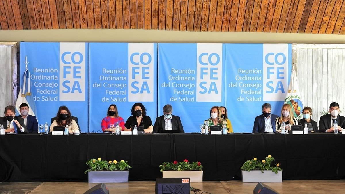 La ministra de Salud estuvo en San Luis donde se reuni&oacute; con profesionales para hablar sobre las vacunas