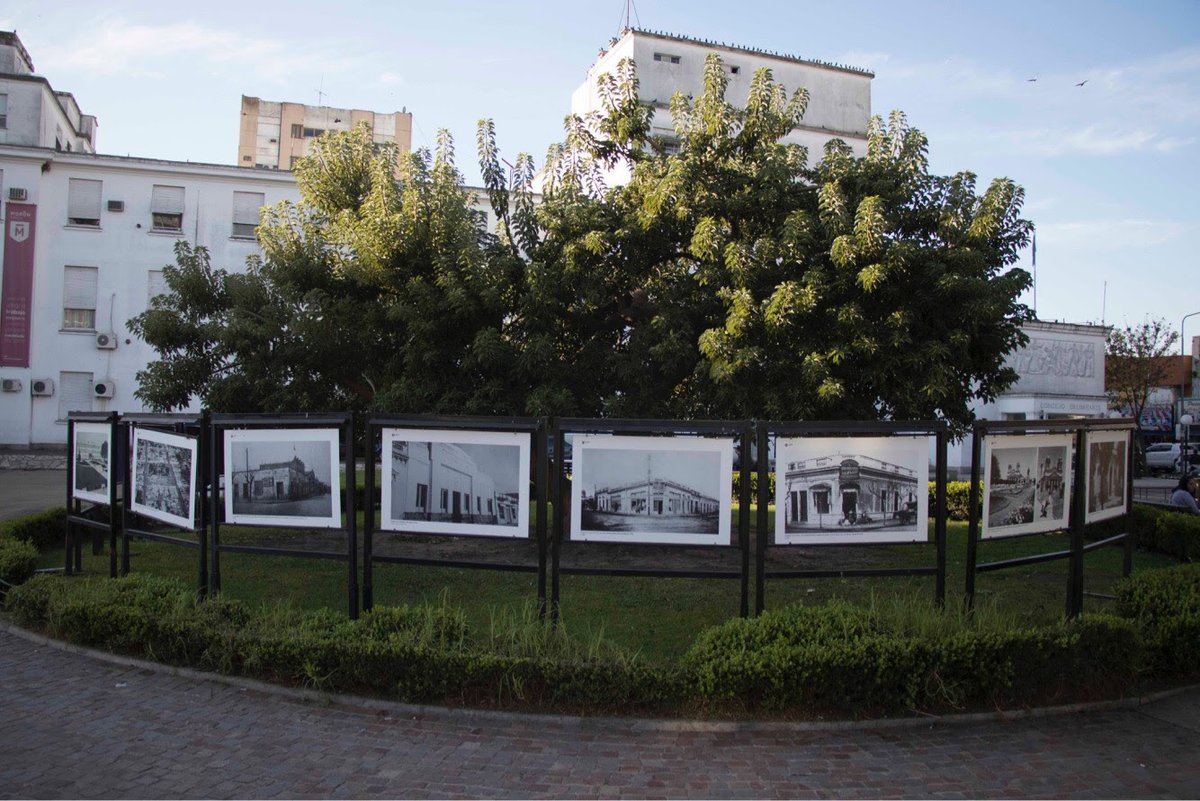 Respetando la historia: plantaron un nuevo &aacute;rbol d&oacute;nde se encontraba el Omb&uacute;