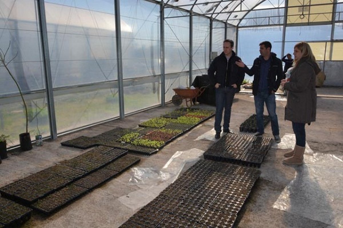 Uno de los objetivos es continuar poblando de plantas las calles de Ituzaing&oacute;