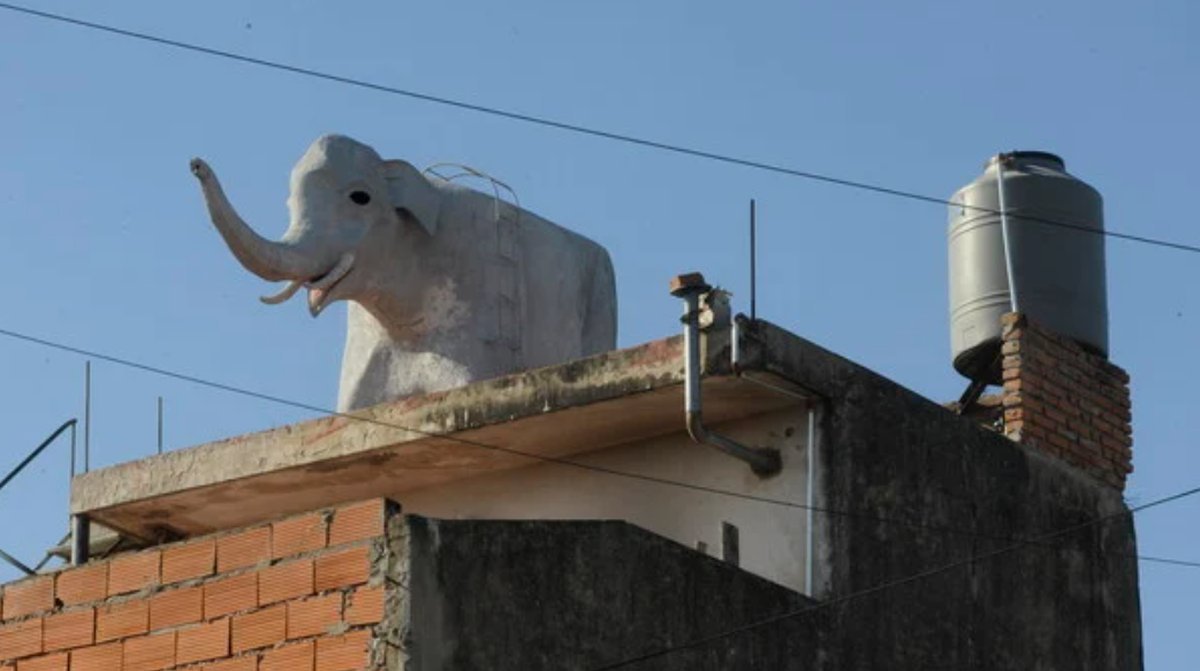 En Per&oacute;n y San Luis, Tres de Febrero, el tanque elefante sorprende a todos. Su historia comenz&oacute; el siglo pasado.