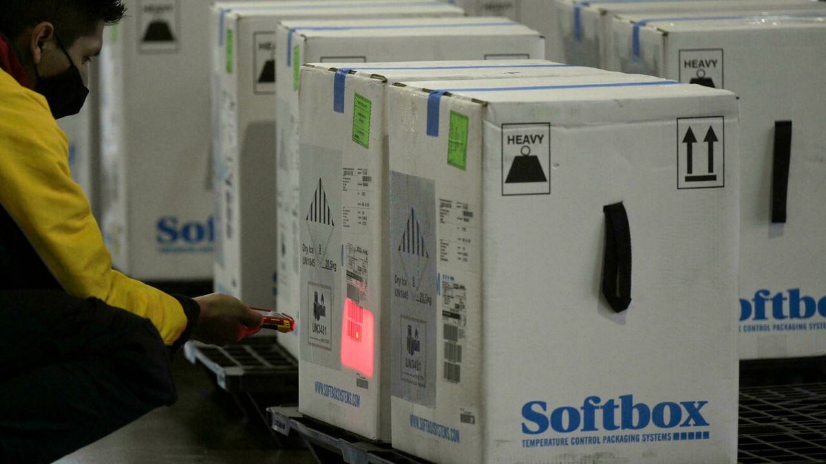 Las vacunas Pfizer ser&iacute;an seguras en ni&ntilde;os de 5 a 11 a&ntilde;os.