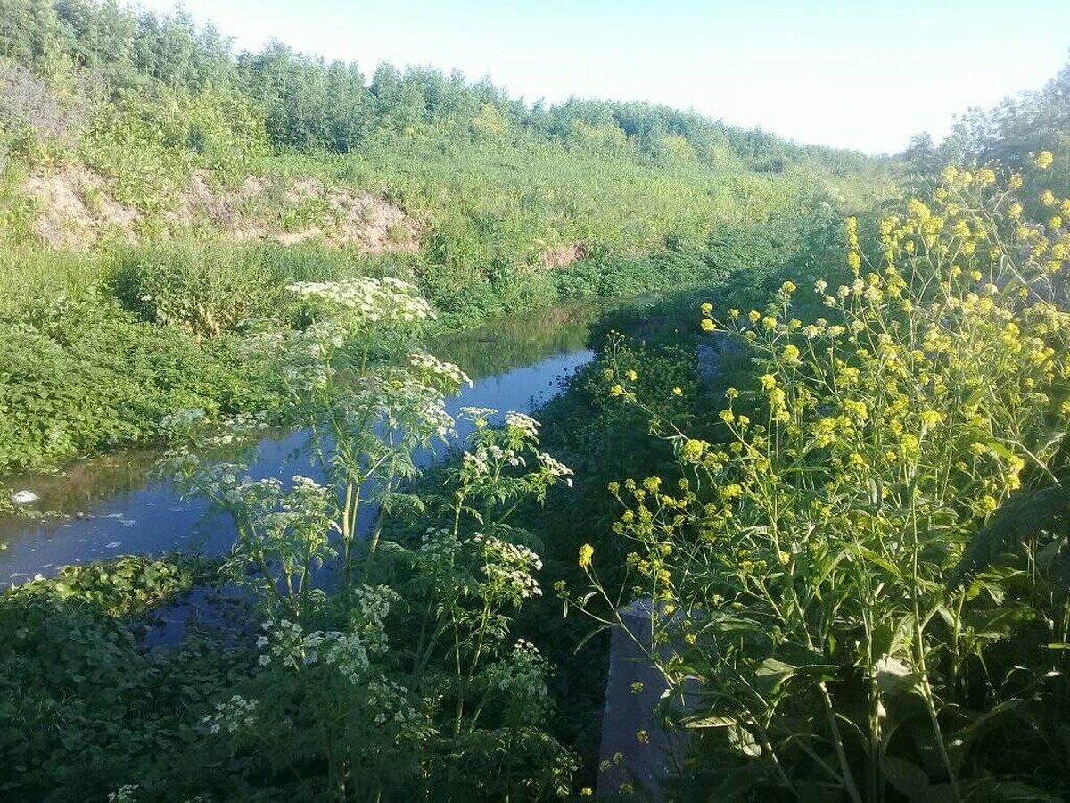 Los vecinos piden proteger uno de los espacios naturales de Merlo