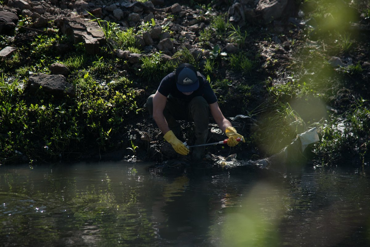 Estudio sobre peces en la Cuenca Matanza Riachuelo.