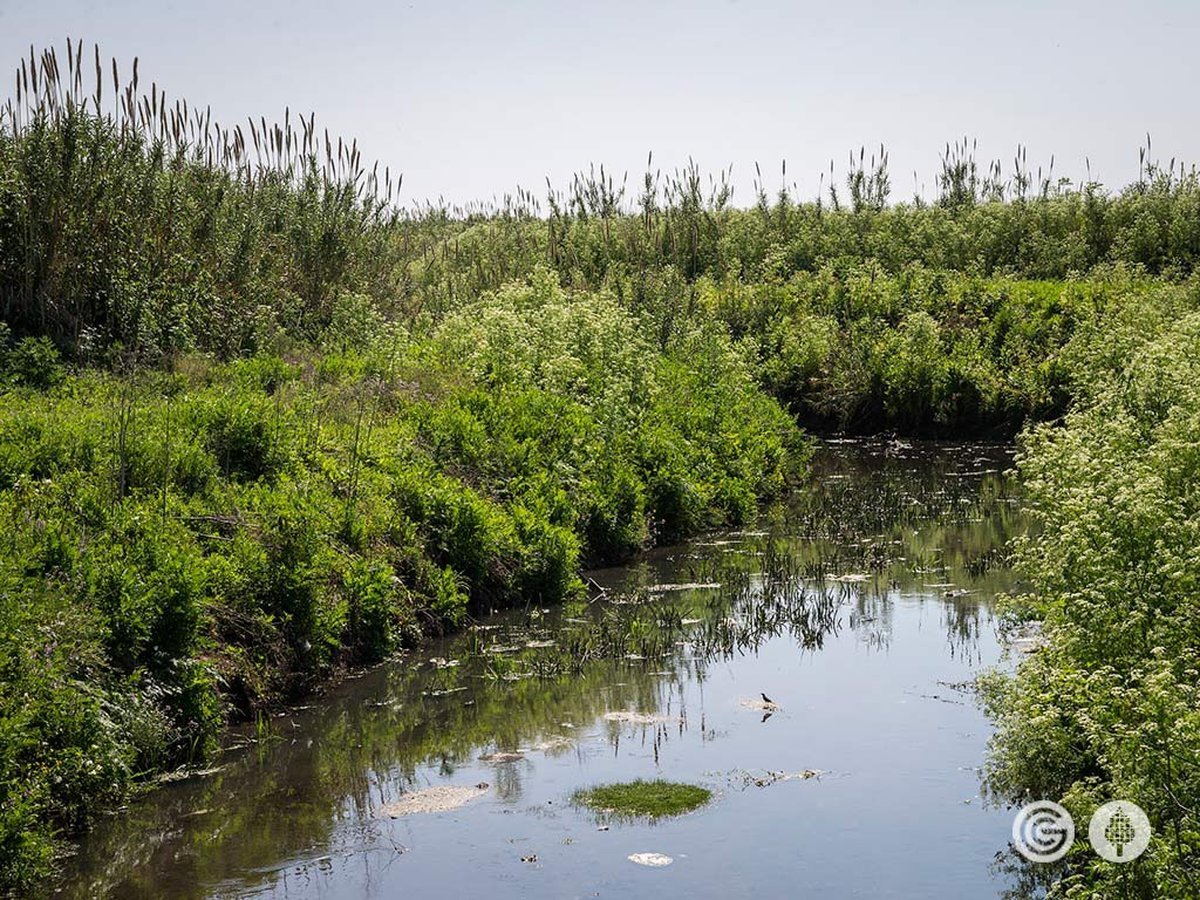 "Parque Reserva Ecol&oacute;gica Isla Verde" en Mor&oacute;n.