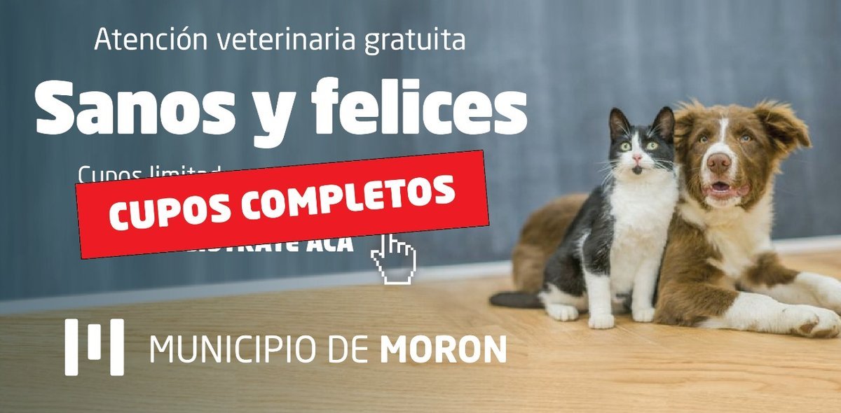 Atenci&oacute;n veterinaria gratuita en Mor&oacute;n.