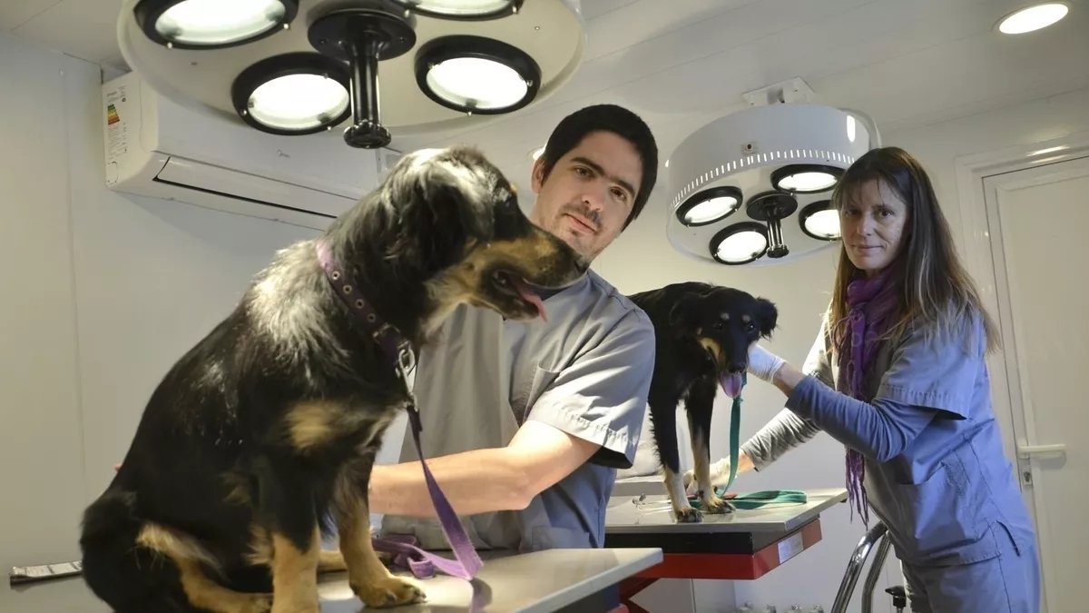 Vecinos de Mor&oacute;n buscan ser veedores del proyecto con las veterinarias