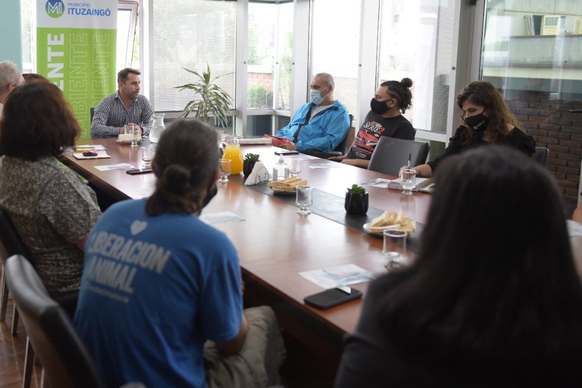 La tracci&oacute;n a sangre se proh&iacute;be en Ituzaing&oacute;