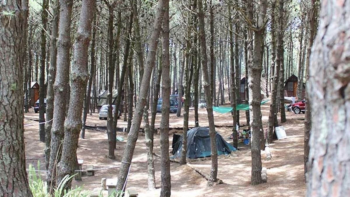 Temporada de vacaciones: los campings como opci&oacute;n B