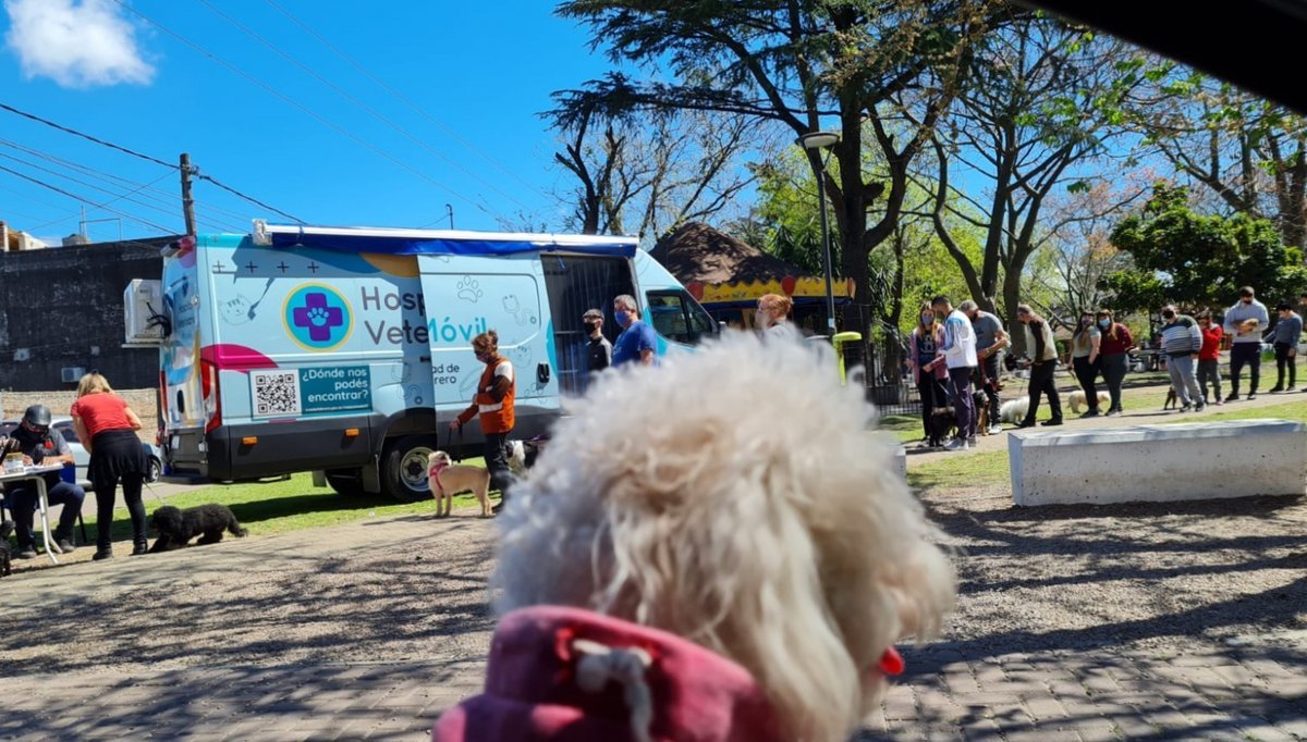 Nuevas fechas y horarios para el Hospital Veterinario M&oacute;vil en Tres de Febrero.