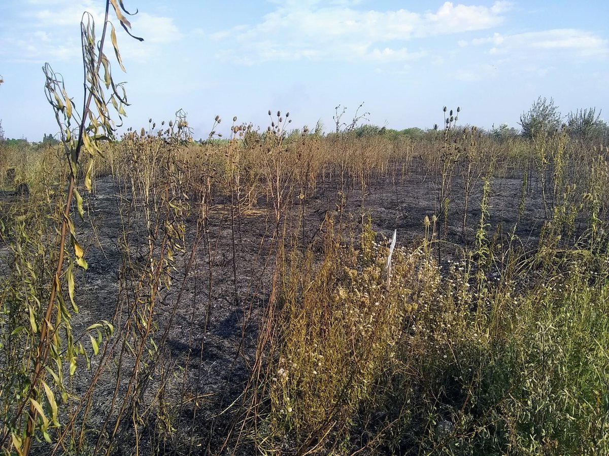 Los pastizales de la Reserva Natural de Laferrere sufrieron el incendio