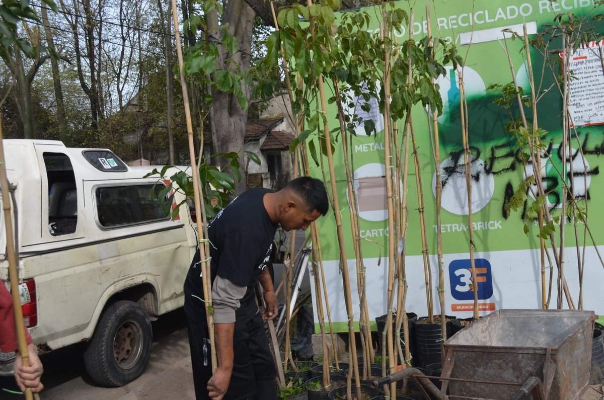 Ante las altas temperaturas, desde la organizaci&oacute;n de Pablo Podest&aacute; pidieron que los vecinos rieguen los &aacute;rboles