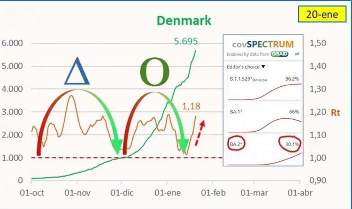 Coronavirus: hace 10 d&iacute;as este nuevo sublinaje de la Variante Omicron gener&oacute; un importante rebrote en Dinamarca