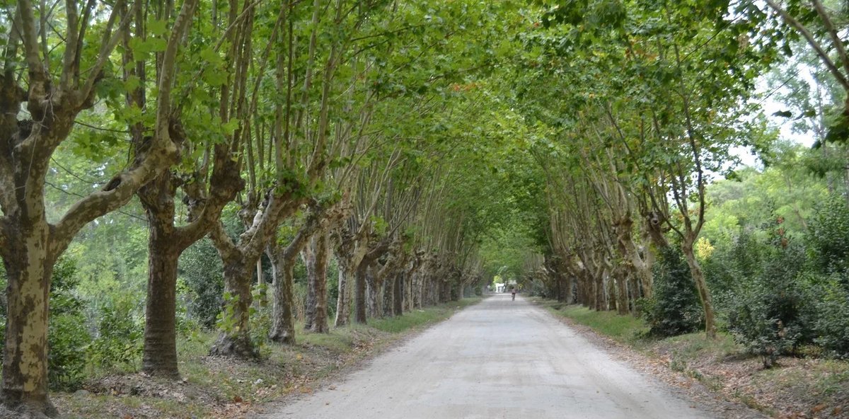 Turismo: la naturaleza, una de las cosas m&aacute;s presentes en el pueblo