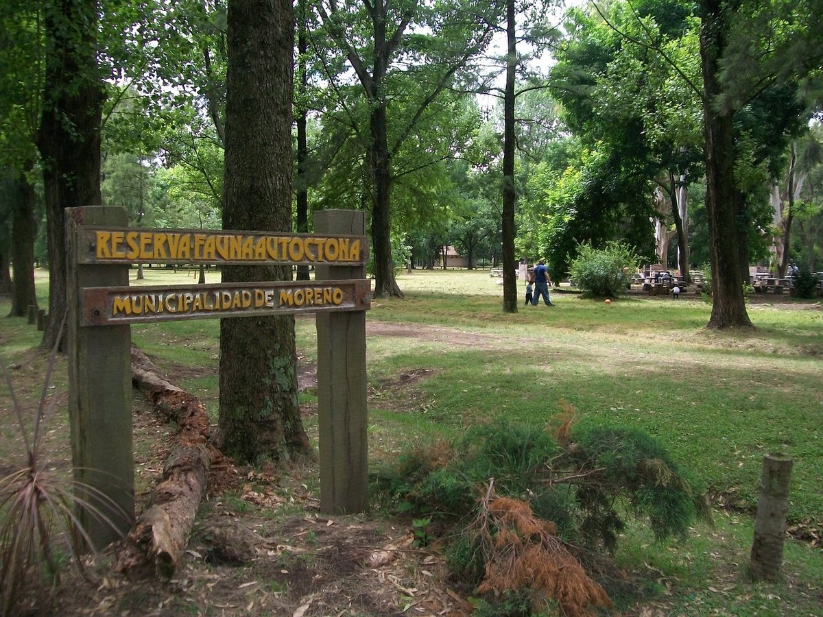 Frondosa arboleda en el Parque Municipal Los Robles