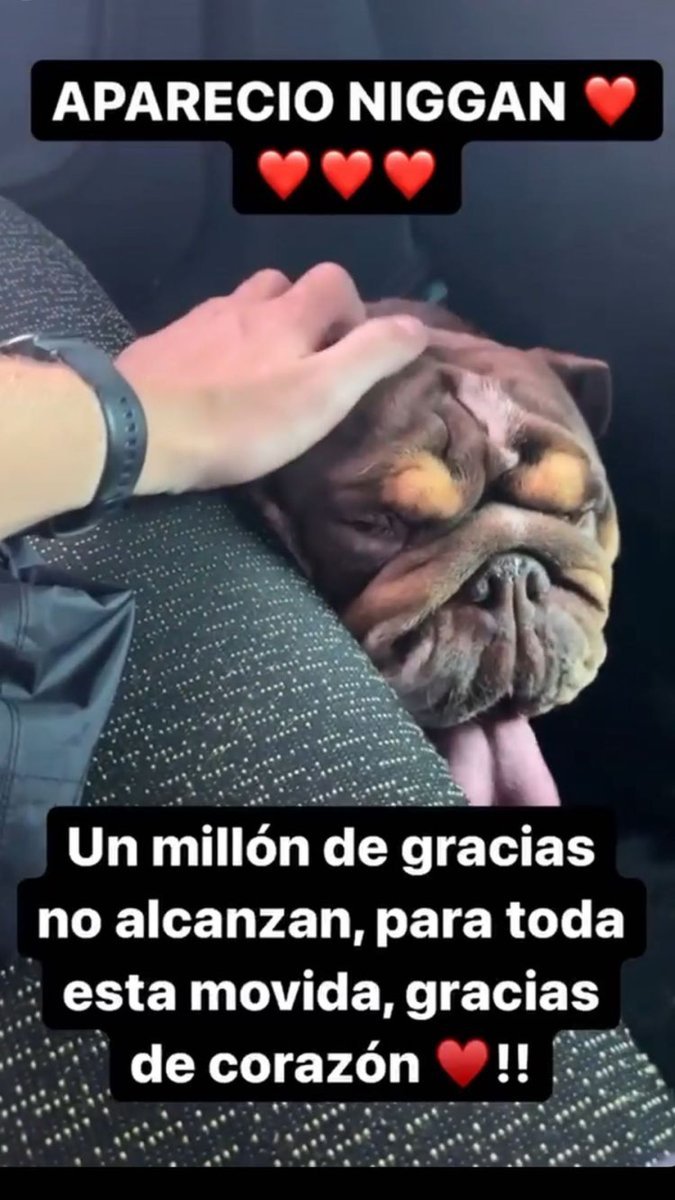Ferm&iacute;n B&oacute; agradeci&oacute; a sus seguidores por la b&uacute;squeda de Niggan que hab&iacute;a sido robado en Ituzaing&oacute;