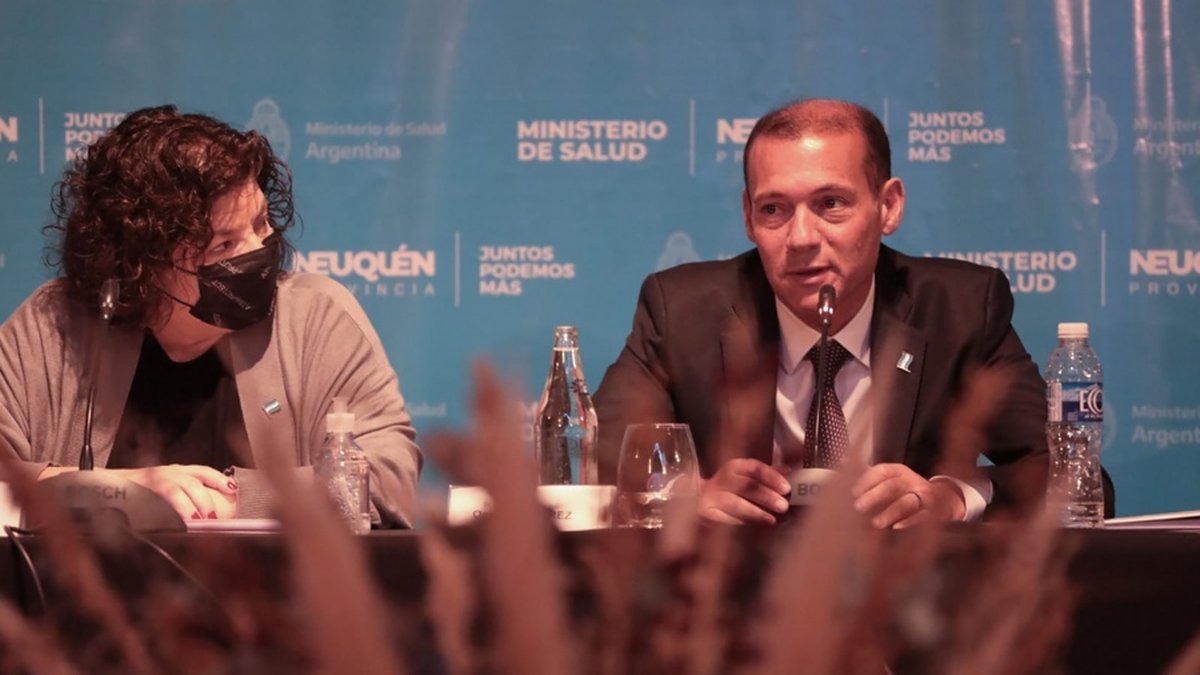 Pandemia: La ministra de Salud, Carla Vizzotti, habl&oacute; sobre el aumento de casos de Covid-19.