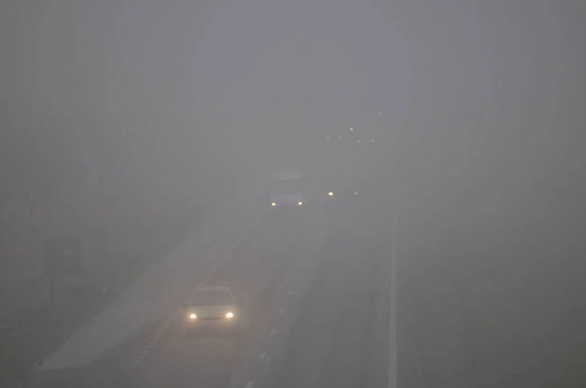 Clima: bancos de niebla, c&oacute;mo usar la luz de tu auto najo este fen&oacute;meno&nbsp;