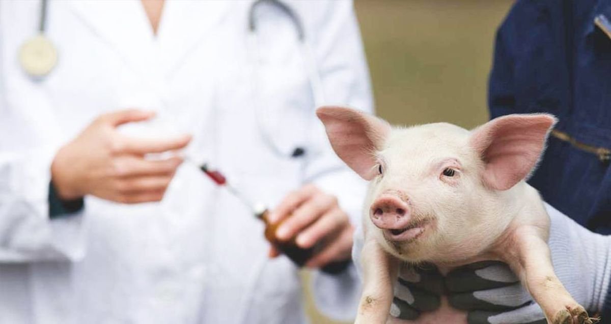 6 de julio: D&iacute;a Mundial de las Zoonosis.