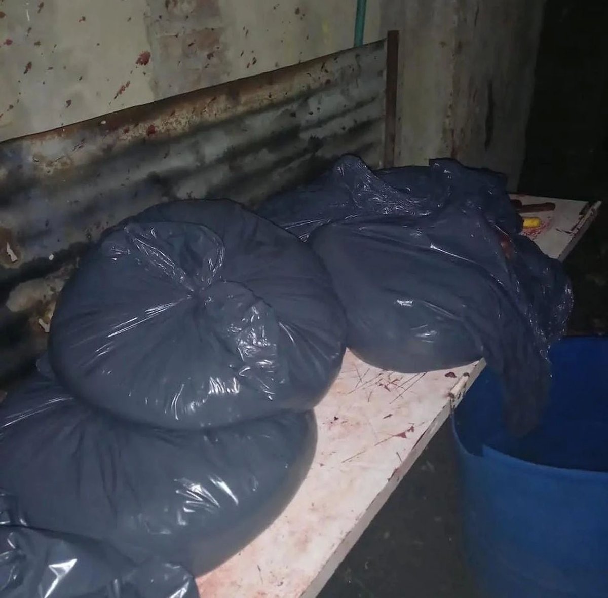 Polic&iacute;as de la Provincia de Buenos Aires desmantelaron un matadero de caballos en La Matanza.