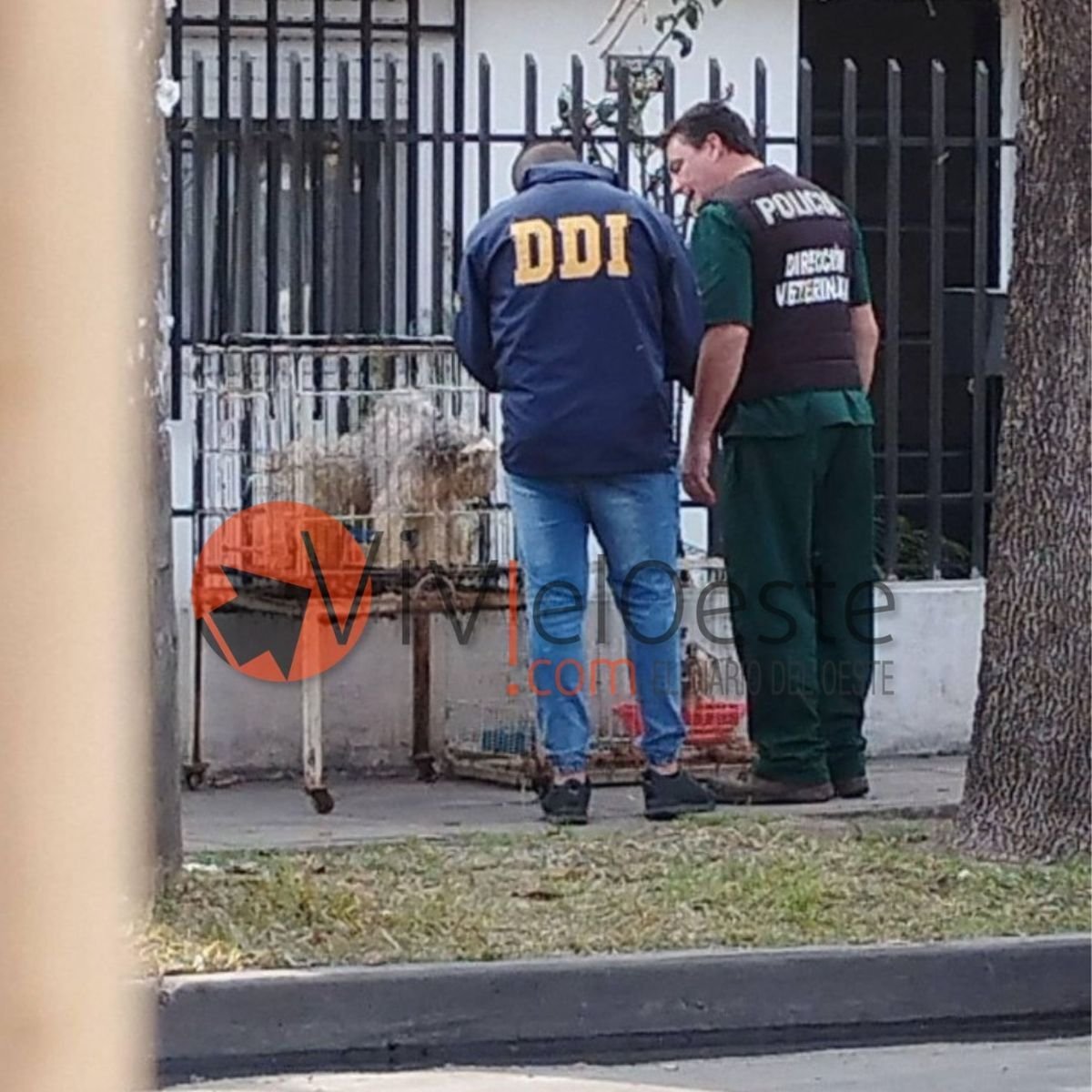 En el allanamiento intervino la Polic&iacute;a Bonaerense y la Fiscal&iacute;a N&deg;7 de Mor&oacute;n.