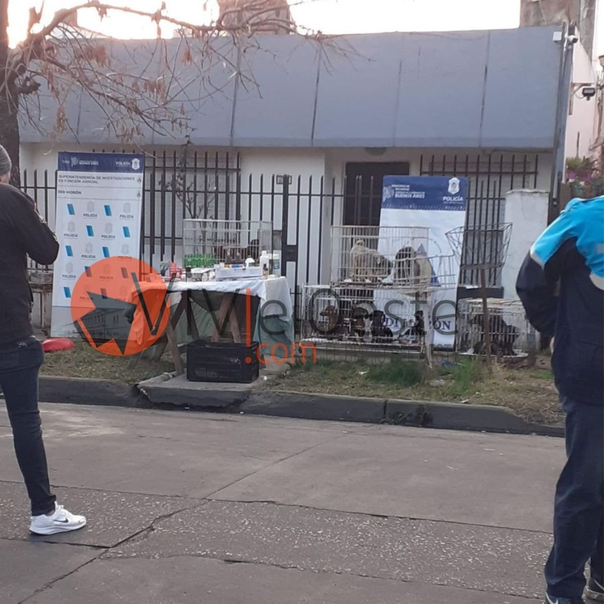 El criadero desbaratado por la polic&iacute;a en El Palomar.