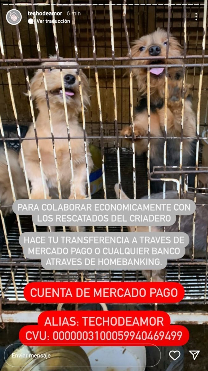La Asociaci&oacute;n Refugio Techo de Amor solicita ayuda para los tratamientos de los perros rescatados en El Palomar.