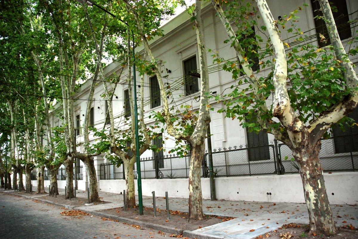 La ciudad de Jun&iacute;n se caracteriza por la arbolada.