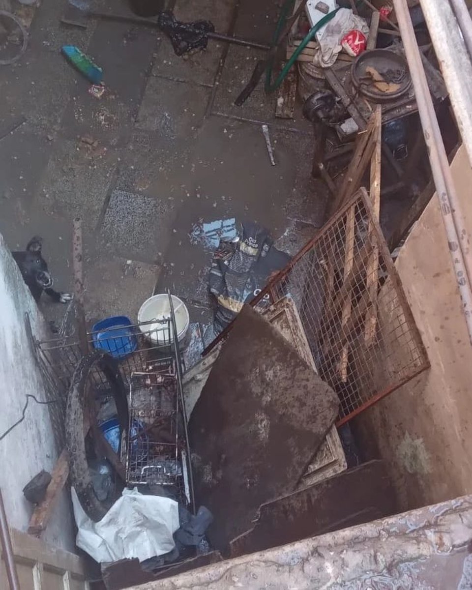 El domicilio de Tres de Febrero donde abandonaron a los perritos.