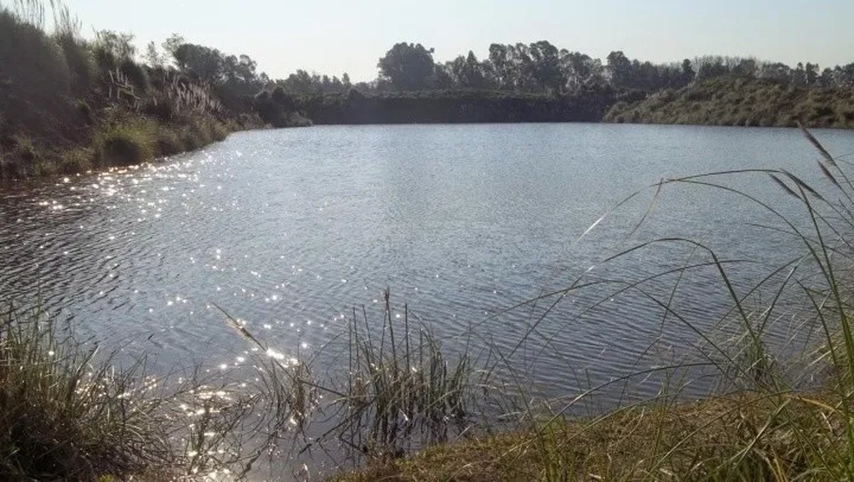 Una tosquera de La Matanza.