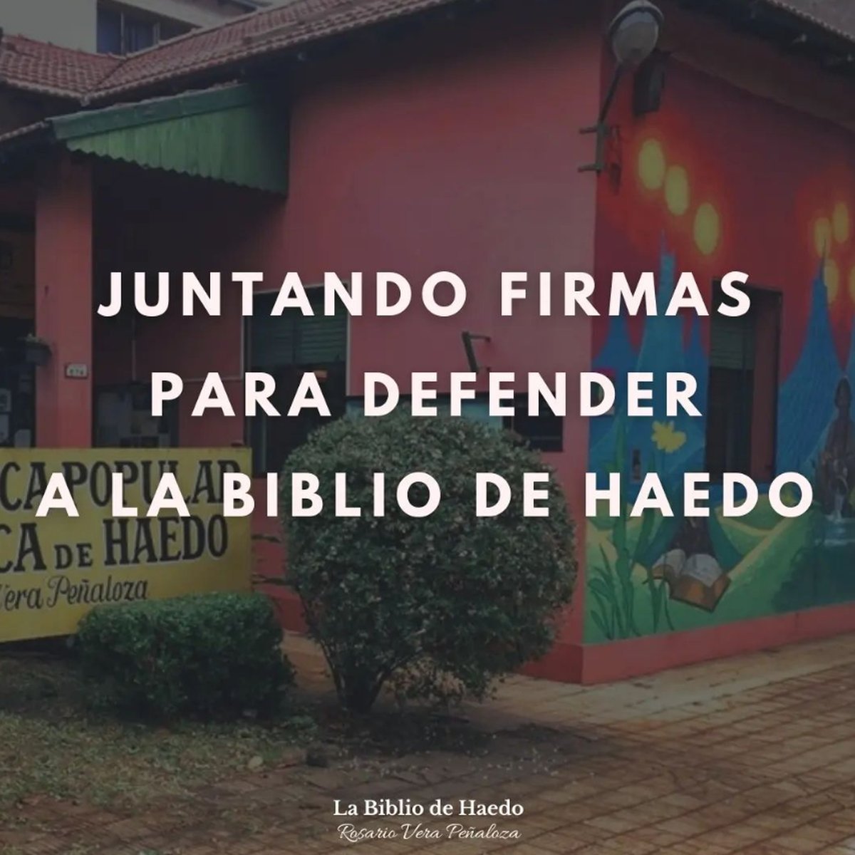 Flyer de la biblioteca de Haedo que compartieron desde el espacio cultural.