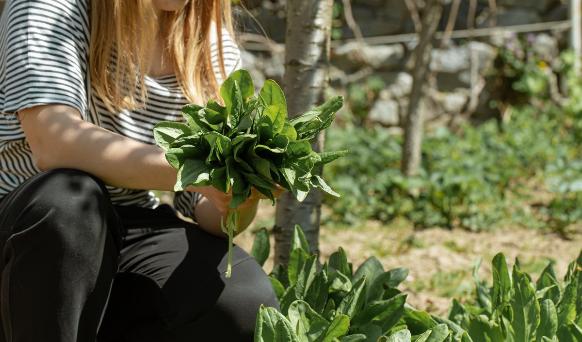 Brindar&aacute;n una charla sobre alimentaci&oacute;n y huerta en Ituzaing&oacute;.