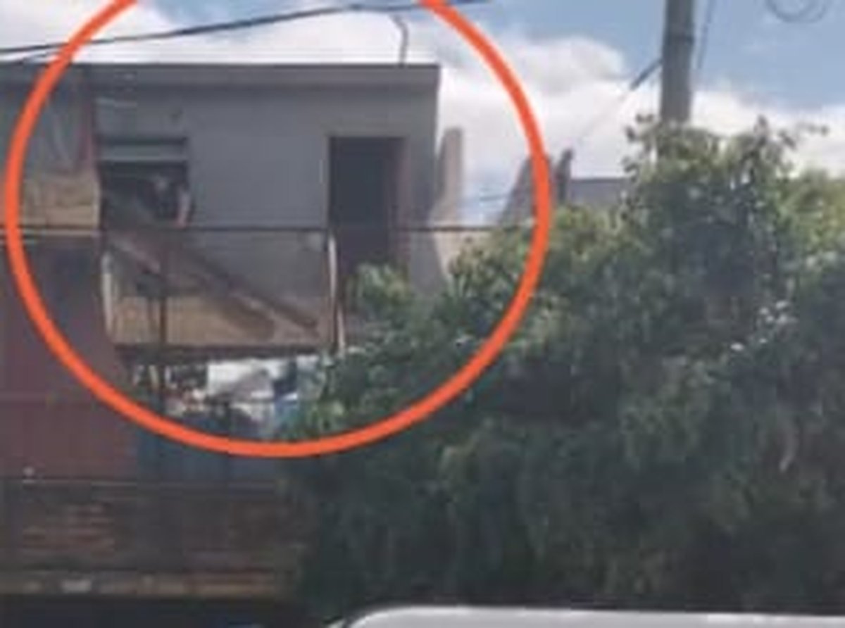 El galp&oacute;n del horror en Mor&oacute;n.