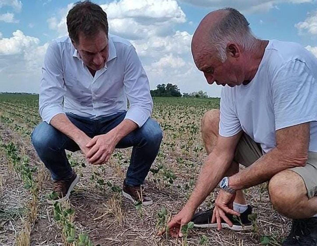 Santilli estima p&eacute;rdidas millonarias para el campo por la sequ&iacute;a y cuestion&oacute; la 