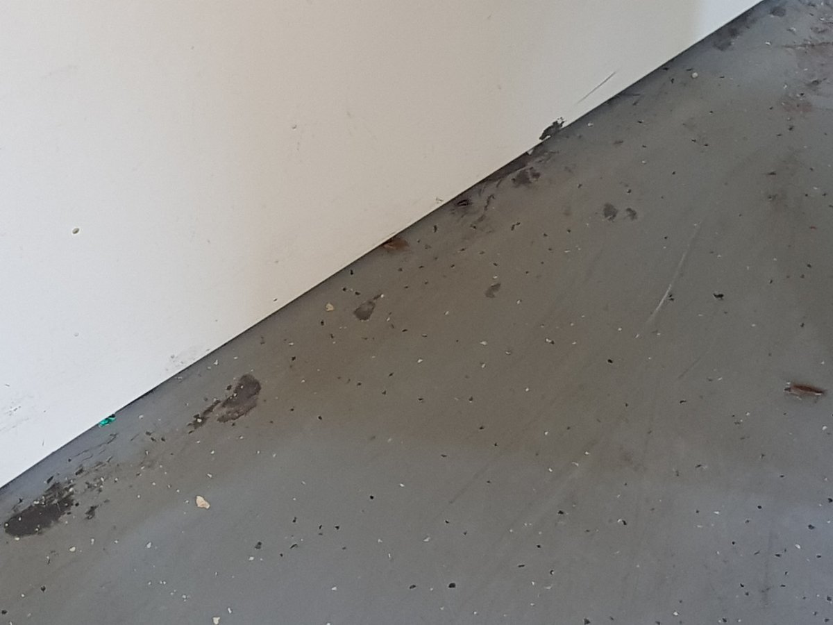 Tres cucarachas en el Tren San Mart&iacute;n.