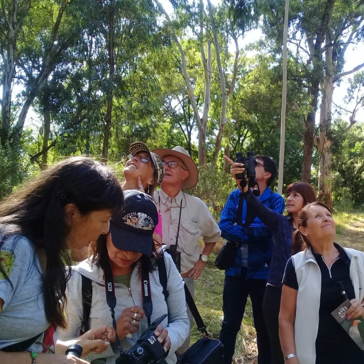 Nuevo COA de colibr&iacute;es en Hurlingham.