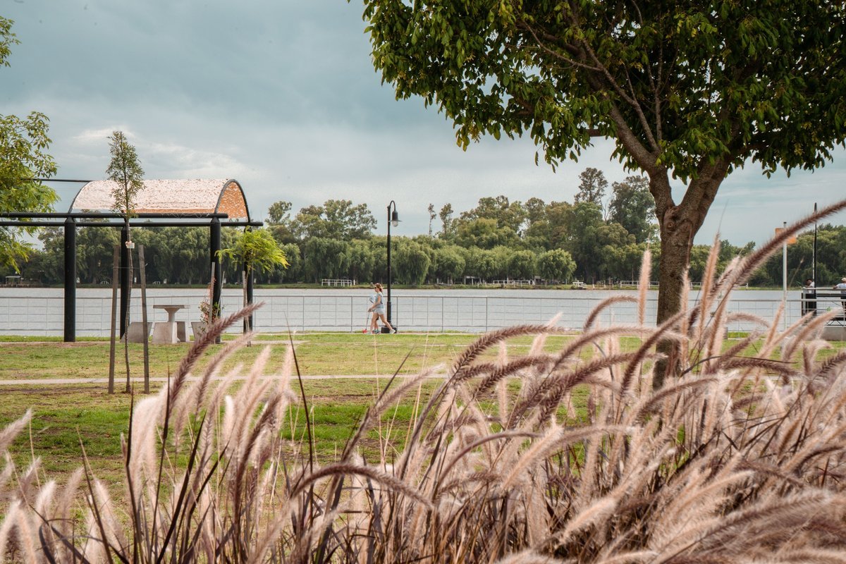 Turismo: Descubr&iacute; el atractivo y pintoresco Delta de Campana.