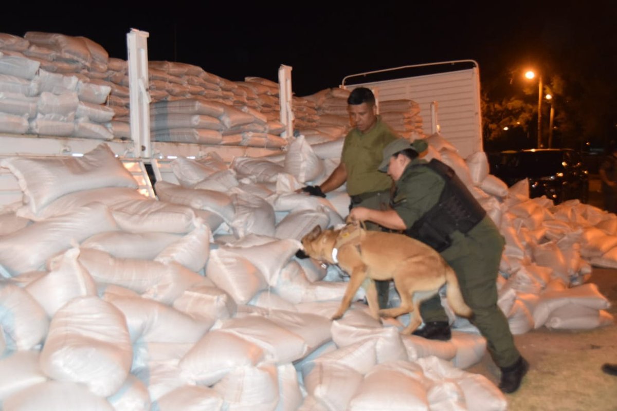 El perro que descubri&oacute; la droga en camino a Tapiales.