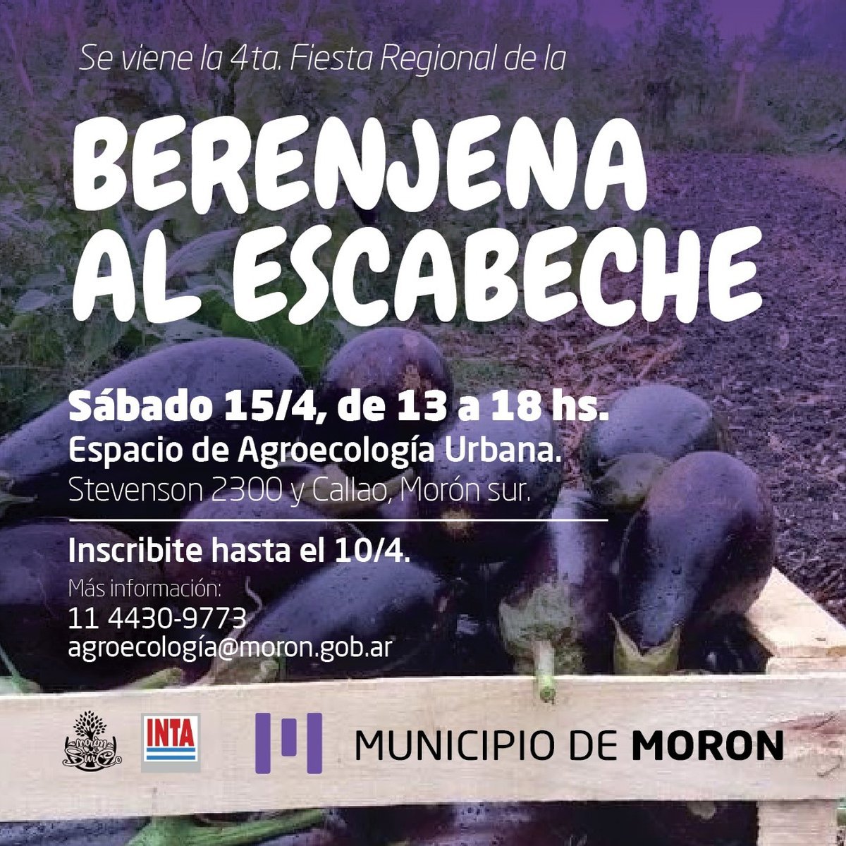 Se abri&oacute; la convocatoria a la Fiesta de la Berenjena de Mor&oacute;n.