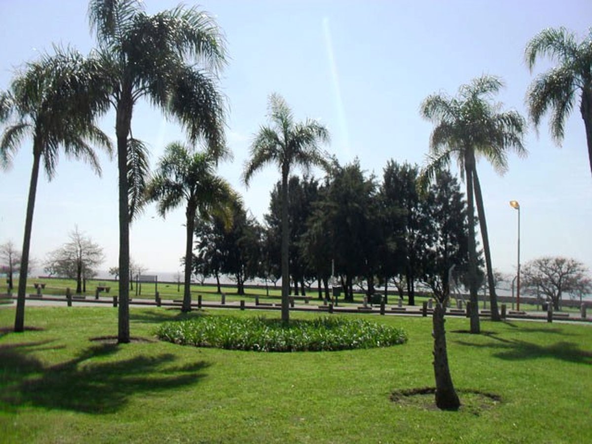 Un paseo ideal para disfrutar este fin de semana en la ciudad.