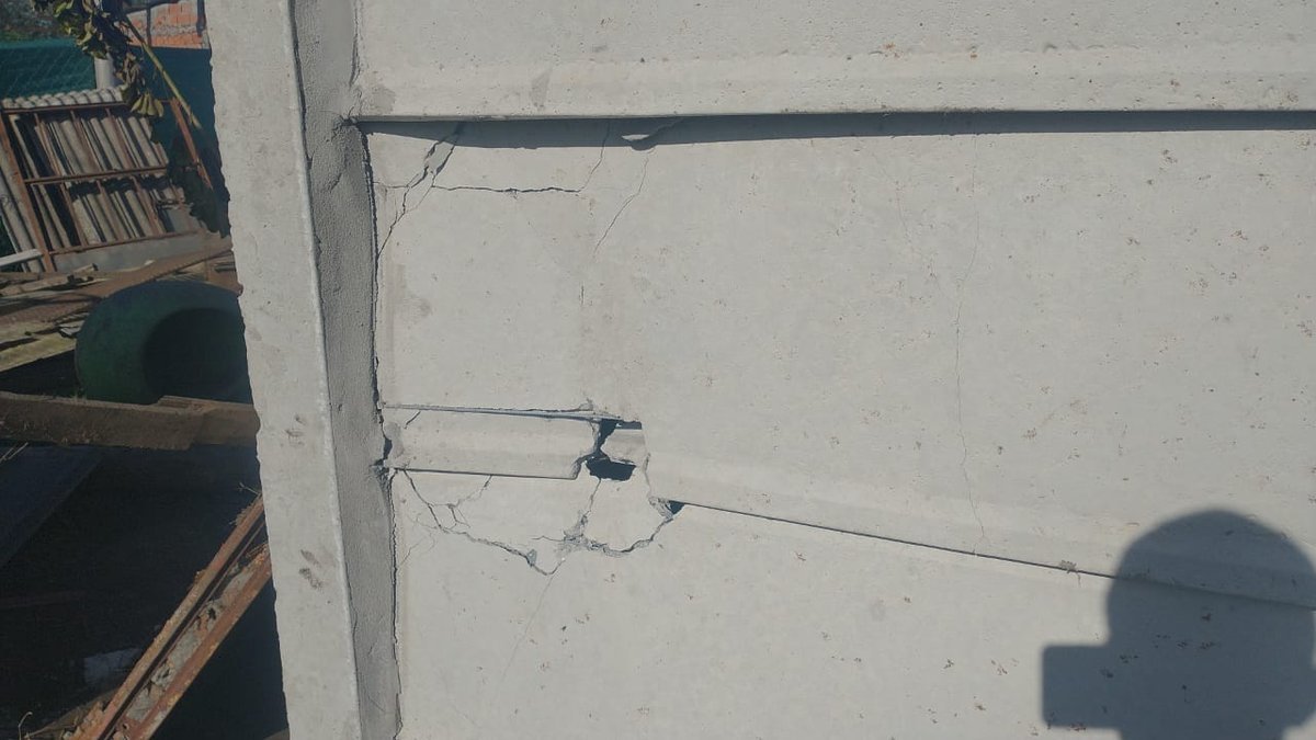 Brutal ataque a un refugio de perros de Moreno.