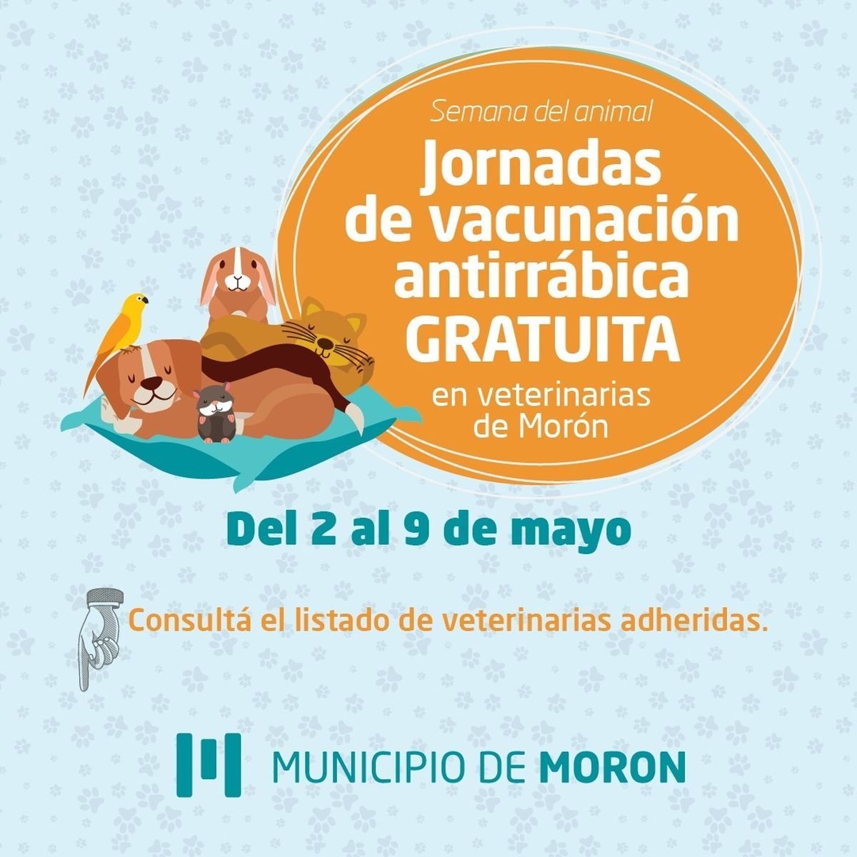 Mor&oacute;n: vacunaci&oacute;n antirr&aacute;bica gratuita en veterinarias.