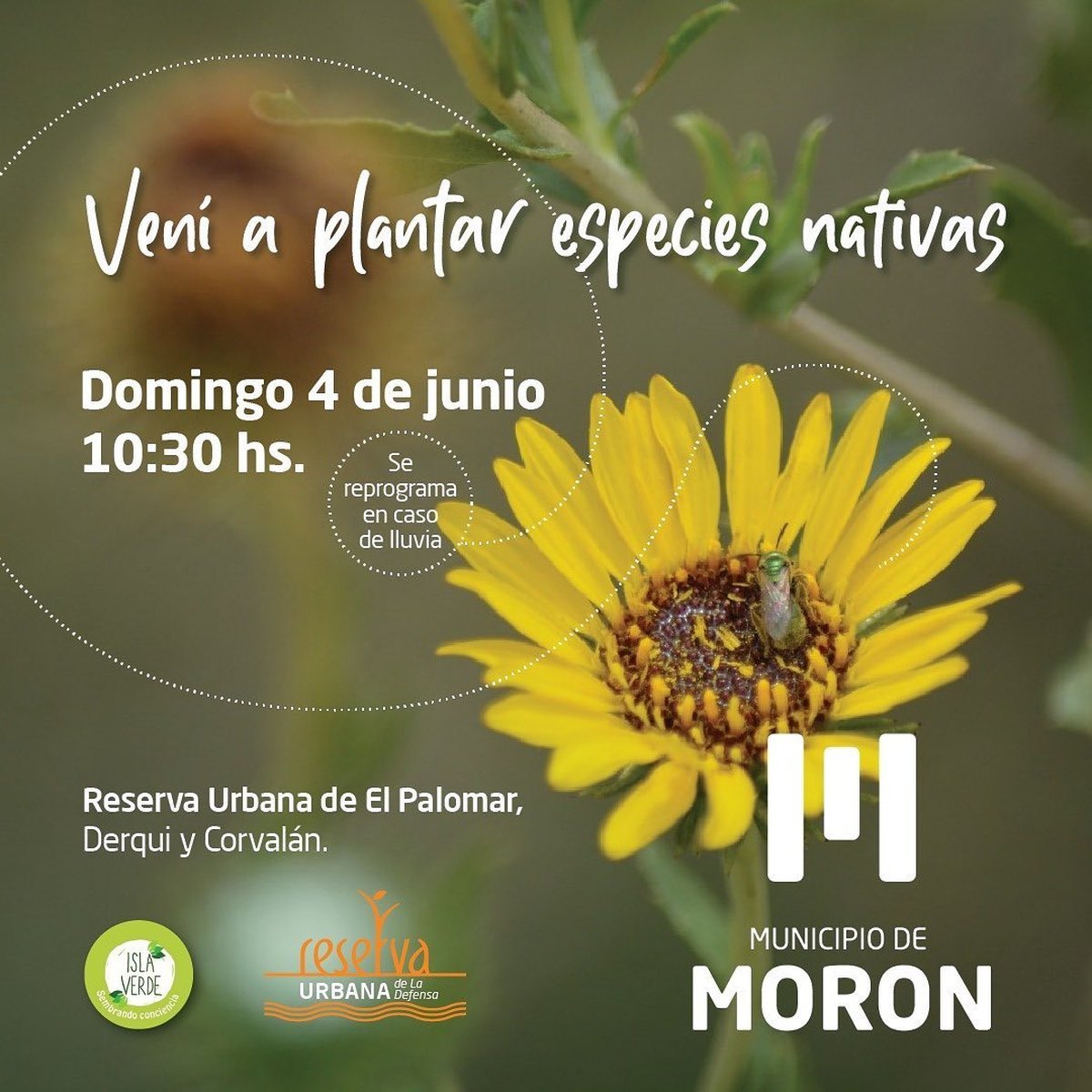 Plantaci&oacute;n p&uacute;blica en la Reserva Natural de El Palomar.