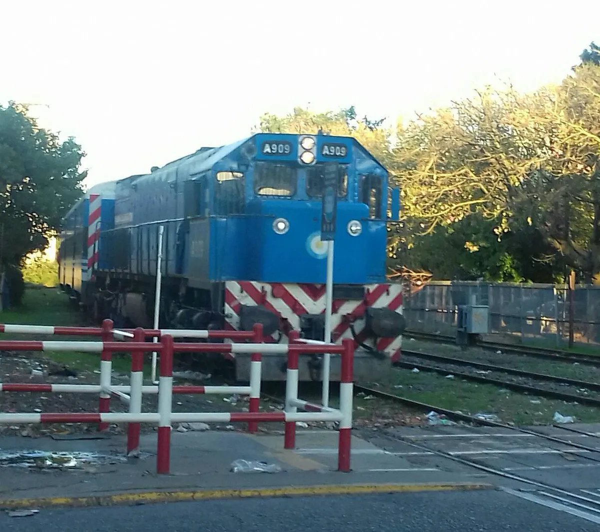 Un tren del ramal Haedo-Temperley.