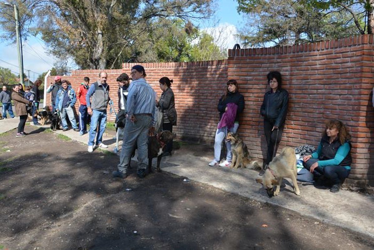 Ituzaing&oacute; brindar&aacute; atenci&oacute;n veterinaria gratuita en distintos lugares.